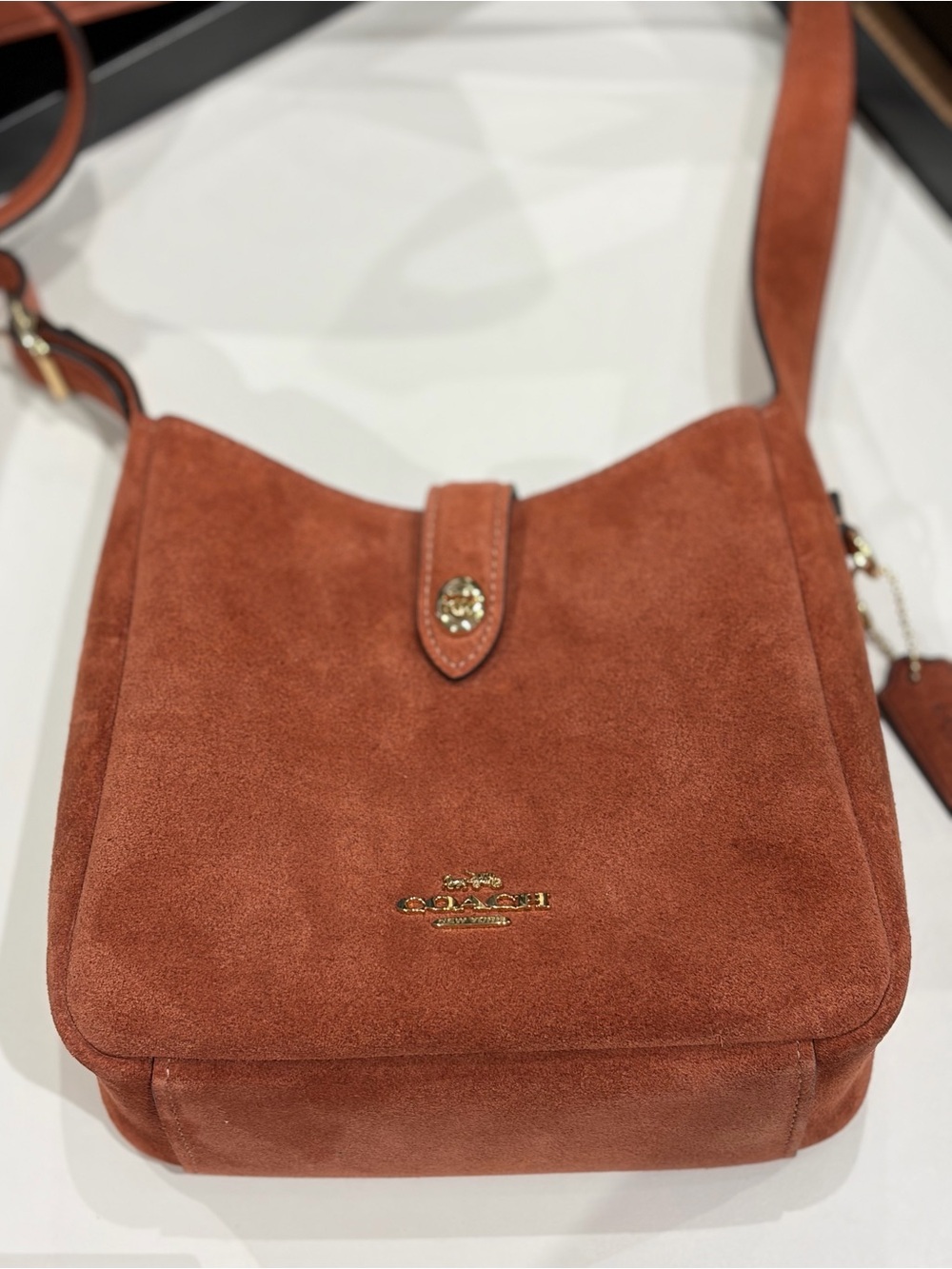 Coach Suede Hadley Mini Crossbody Shoulder  Bag - Picture 10 of 12
